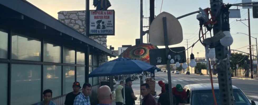 El Primo taco stand just before sunset